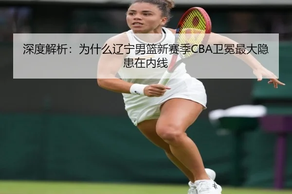 深度解析：为什么辽宁男篮新赛季CBA卫冕最大隐患在内线